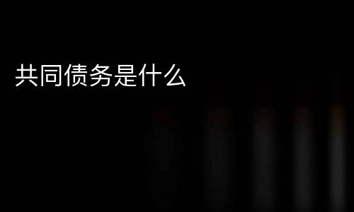 共同债务是什么