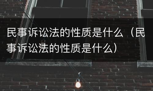 民事诉讼法的性质是什么（民事诉讼法的性质是什么）