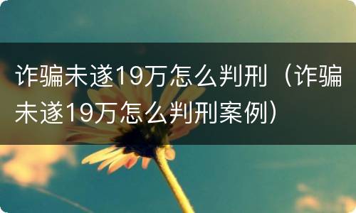 诈骗未遂19万怎么判刑（诈骗未遂19万怎么判刑案例）