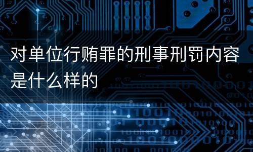 对单位行贿罪的刑事刑罚内容是什么样的