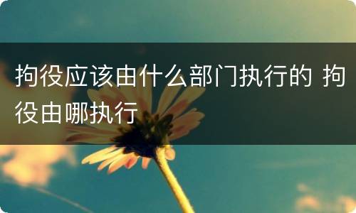 拘役应该由什么部门执行的 拘役由哪执行