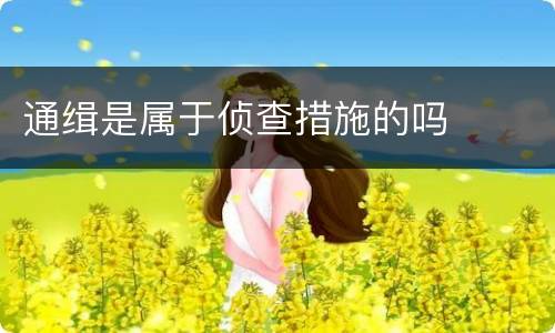 通缉是属于侦查措施的吗