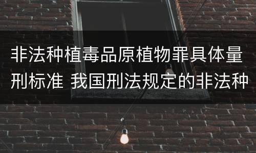 非法种植毒品原植物罪具体量刑标准 我国刑法规定的非法种植毒品原植物罪