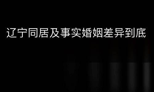 辽宁同居及事实婚姻差异到底