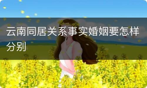 云南同居关系事实婚姻要怎样分别