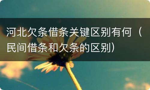 河北欠条借条关键区别有何（民间借条和欠条的区别）