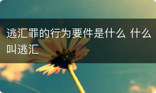 逃汇罪的行为要件是什么 什么叫逃汇