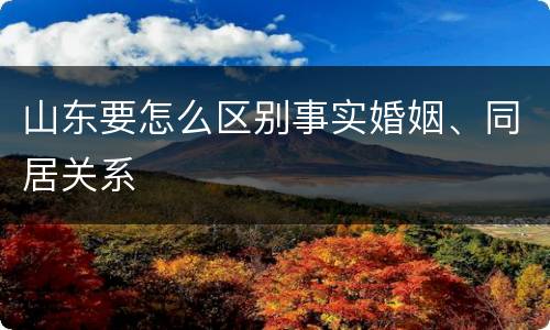 山东要怎么区别事实婚姻、同居关系