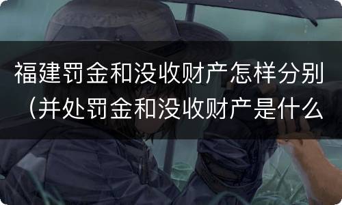 福建罚金和没收财产怎样分别（并处罚金和没收财产是什么意思）