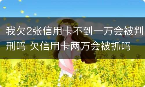 我欠2张信用卡不到一万会被判刑吗 欠信用卡两万会被抓吗
