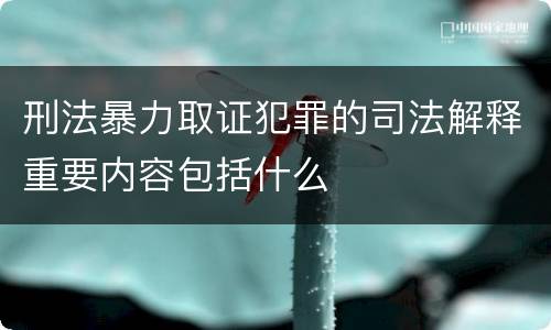 刑法暴力取证犯罪的司法解释重要内容包括什么