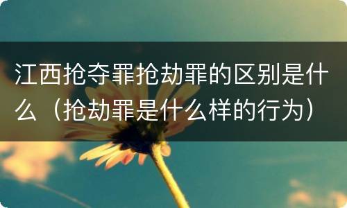 江西抢夺罪抢劫罪的区别是什么（抢劫罪是什么样的行为）