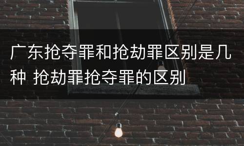 广东抢夺罪和抢劫罪区别是几种 抢劫罪抢夺罪的区别