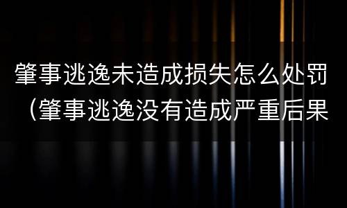 肇事逃逸未造成损失怎么处罚（肇事逃逸没有造成严重后果怎么处罚）