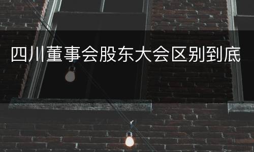 四川董事会股东大会区别到底