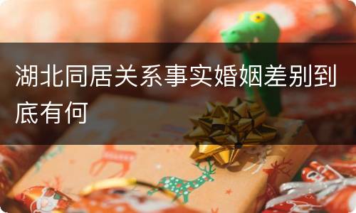 湖北同居关系事实婚姻差别到底有何