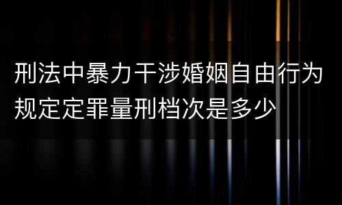 刑法中暴力干涉婚姻自由行为规定定罪量刑档次是多少