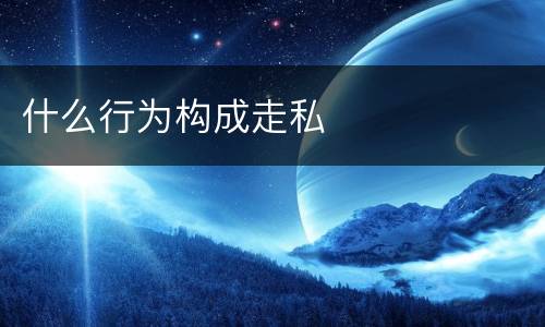 什么行为构成走私