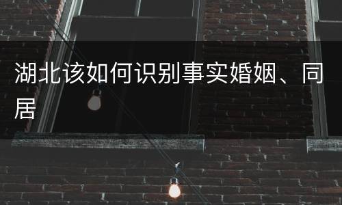 湖北该如何识别事实婚姻、同居