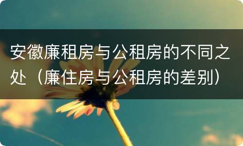 安徽廉租房与公租房的不同之处（廉住房与公租房的差别）