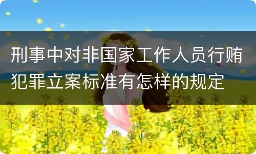 刑事中对非国家工作人员行贿犯罪立案标准有怎样的规定