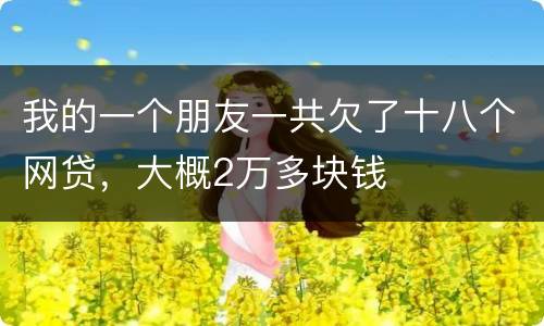 我的一个朋友一共欠了十八个网贷，大概2万多块钱