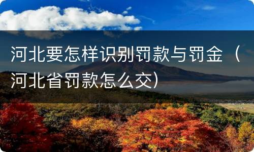 河北要怎样识别罚款与罚金（河北省罚款怎么交）