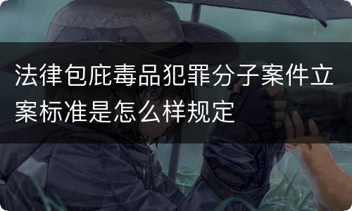法律包庇毒品犯罪分子案件立案标准是怎么样规定