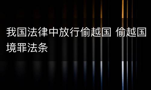 我国法律中放行偷越国 偷越国境罪法条