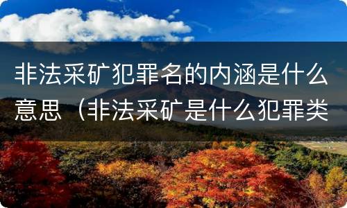 非法采矿犯罪名的内涵是什么意思（非法采矿是什么犯罪类型）