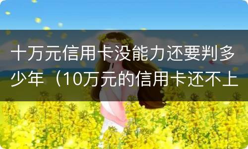 十万元信用卡没能力还要判多少年（10万元的信用卡还不上怎么办）