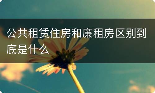 公共租赁住房和廉租房区别到底是什么