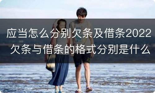 应当怎么分别欠条及借条2022 欠条与借条的格式分别是什么