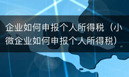 企业如何申报个人所得税（小微企业如何申报个人所得税）