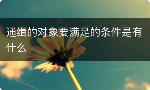 通缉的对象要满足的条件是有什么