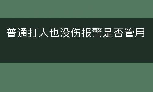 普通打人也没伤报警是否管用