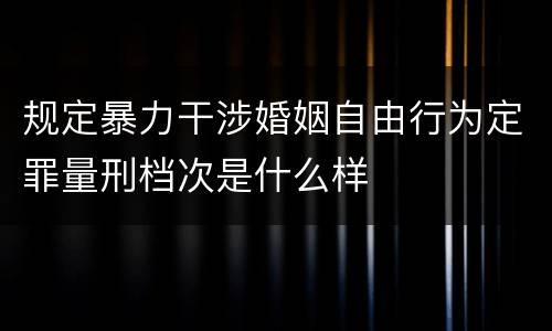 规定暴力干涉婚姻自由行为定罪量刑档次是什么样