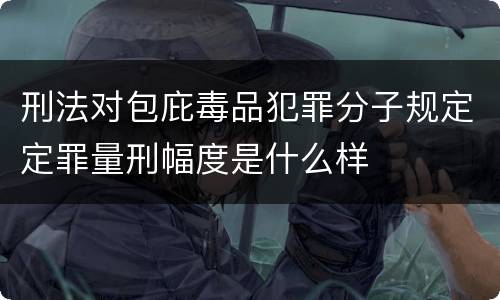 刑法对包庇毒品犯罪分子规定定罪量刑幅度是什么样