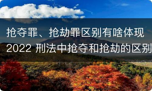 抢夺罪、抢劫罪区别有啥体现2022 刑法中抢夺和抢劫的区别