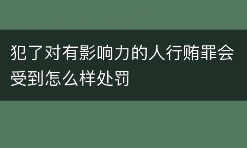 犯了对有影响力的人行贿罪会受到怎么样处罚