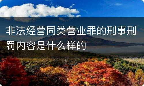 非法经营同类营业罪的刑事刑罚内容是什么样的