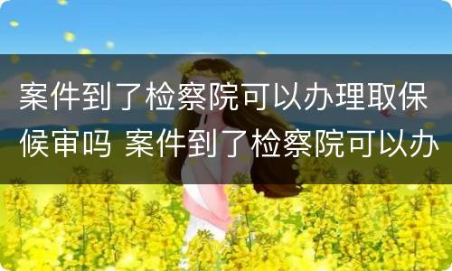 案件到了检察院可以办理取保候审吗 案件到了检察院可以办理取保候审吗多久