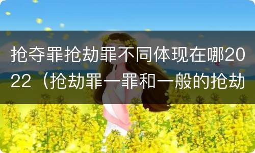 抢夺罪抢劫罪不同体现在哪2022（抢劫罪一罪和一般的抢劫罪）