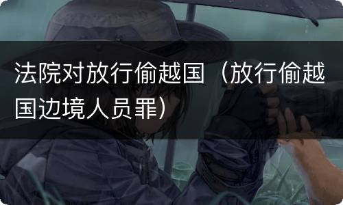 法院对放行偷越国（放行偷越国边境人员罪）
