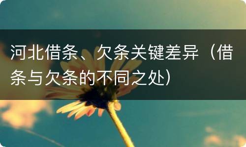 河北借条、欠条关键差异（借条与欠条的不同之处）