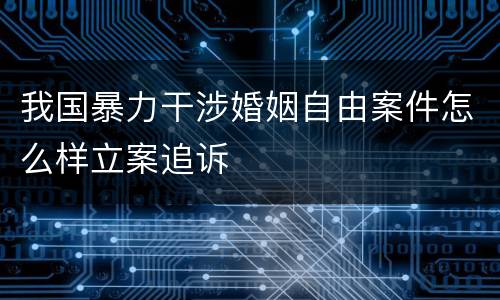 我国暴力干涉婚姻自由案件怎么样立案追诉