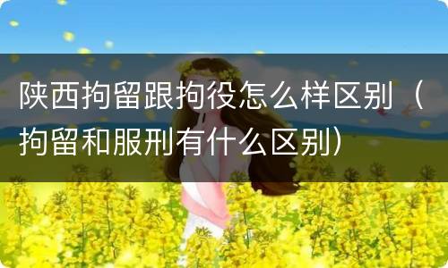 陕西拘留跟拘役怎么样区别（拘留和服刑有什么区别）