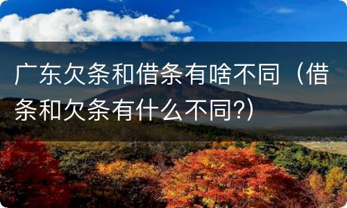 广东欠条和借条有啥不同（借条和欠条有什么不同?）