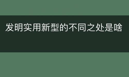 发明实用新型的不同之处是啥