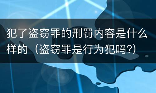 犯了盗窃罪的刑罚内容是什么样的（盗窃罪是行为犯吗?）